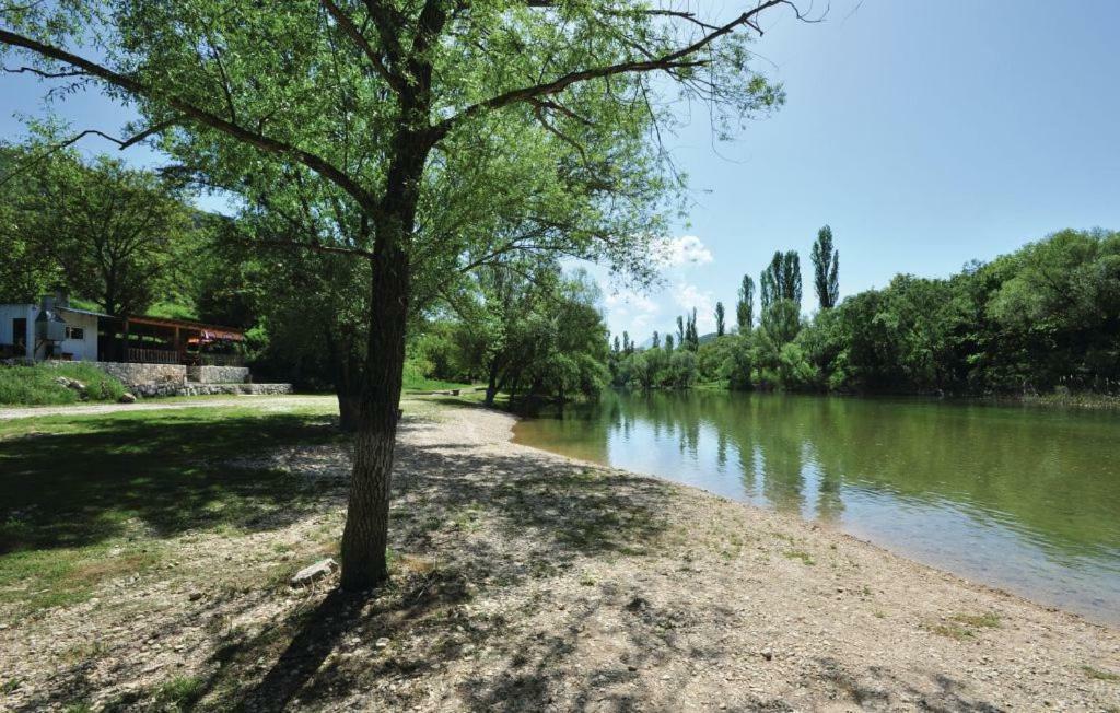 Apartment Kraljevic Blato na Cetini Buitenkant foto